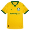 Officiële Voetbalshirt Palmeiras Derde 2025-26 - Heren